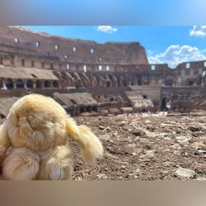 Viral Fluffy Bunny Keychains/Bag Charms